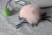 Creepy pumped spider