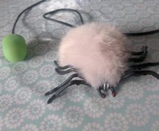 Creepy pumped spider