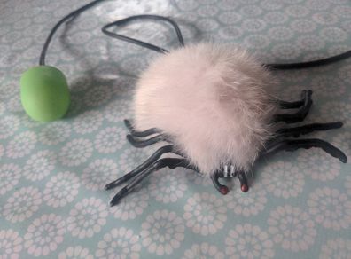 Creepy pumped spider