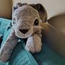 Rabbit - Soft Toy Image 2