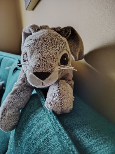 Rabbit - Soft Toy