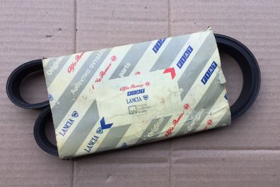 Alternator Belt (Fiat Stilo 2.4 20V)