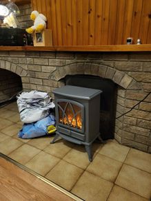 Electric fire