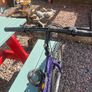 bike size 24 Image 8