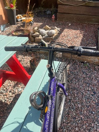 bike size 24