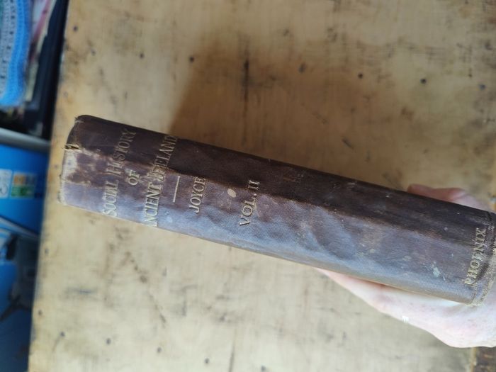 A social History of Ancient Ireland - Two Volumes - First Edition 1903 by PW Joyce