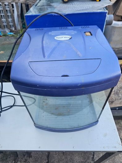 Small fish tank