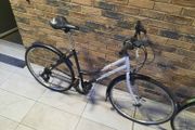 ladies bike( can deliver)