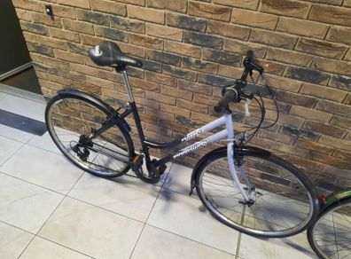 ladies city bike( can deliver)