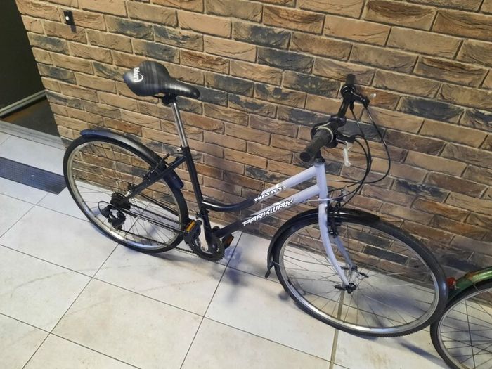 ladies bike( can deliver)