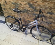 ladies bike( can deliver  for fee)
