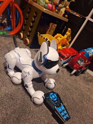 Robot dog