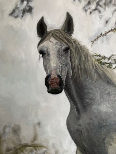 Fine Art Oil Painting - Horse