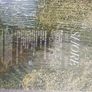 Fleet foxes shore vinyl record Image 3