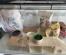 Hamster cage and accessories