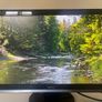 Dell Monitor Image 9