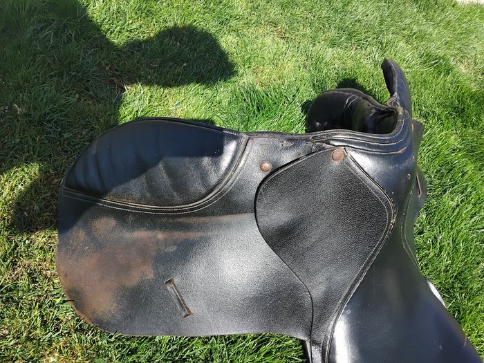 Black Saddle