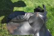 Black Saddle