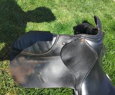 Black Saddle
