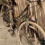 ladybike Image 10