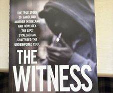 Book The Witness by Nicola Tallant