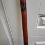 Walking stick Image 3