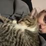 female cat looking for good home only Image 2