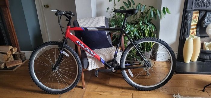 Men's Raleigh Bike