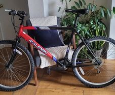 Men's Raleigh Bike