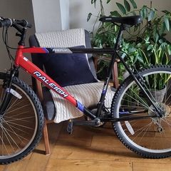 Men's Raleigh Bike