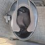 Shoei Helmet spotless Image 5