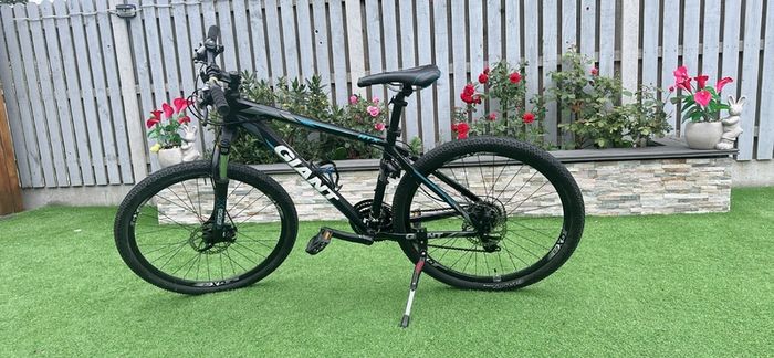 Giant Bike