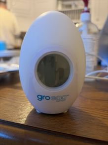 groegg room thermometer