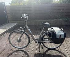 giant electric bike