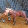 Horses Image 3