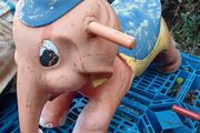 vintage fairground elephant