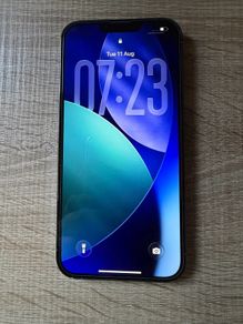 iPhone 13 Pro Max