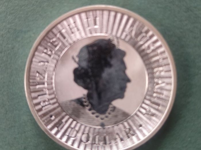 2 x 1oz .999 silver coins