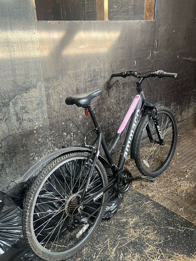 Mountain bike
