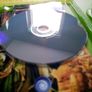 Tom Clancy s Ghost Recon 2 Xbox Original Games Original Pal version Image 8
