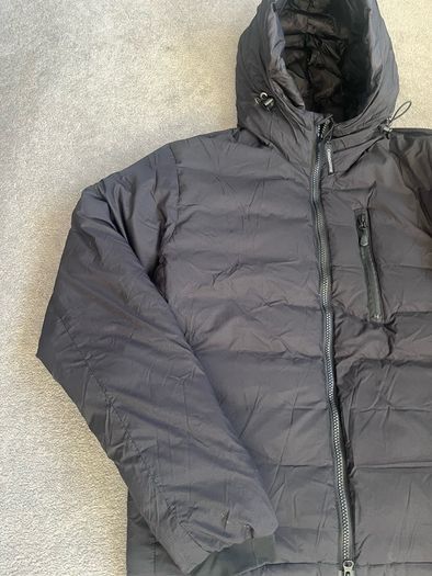 canada goose