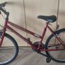 Raleigh Ladies Mountain Bike Image 3