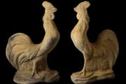 Cockerel EG027
