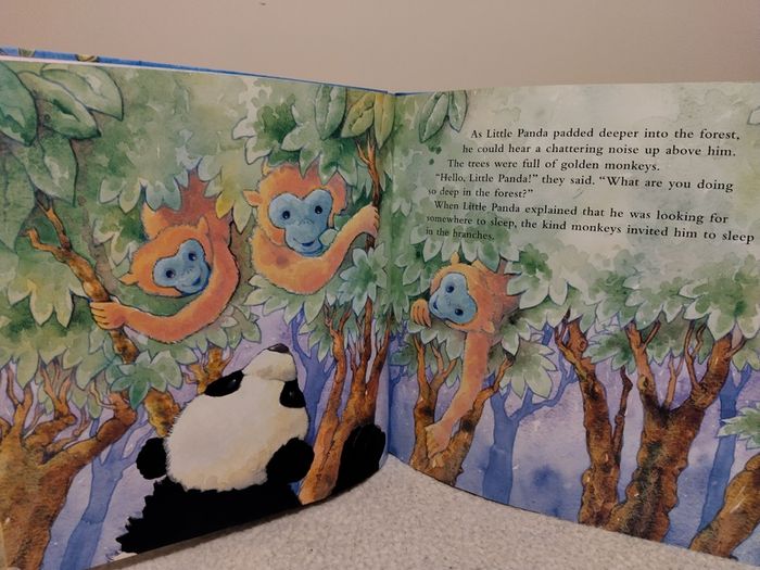 Little Panda, A Soft To Touch large Hardback Book
