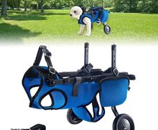 Dog Wheelchair for Back Legs, Adjustable Dog Wheelchair, Rehabilitation 2 Wheels Dog Cart Wheels, Assist Pets with Paralyzed Hind Limbs to Recover Walking, Equipped with Storage Bag and Traction Rope
