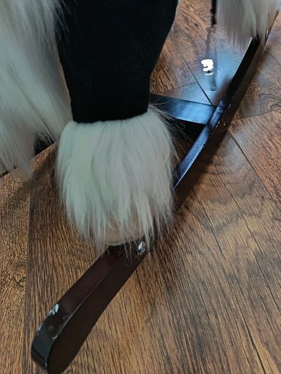 Rocking Horse
