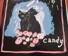 Vinyl Vitiman B12 Candy