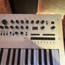 Korg Minilogue Image 3