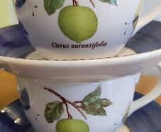 TeaCups Saucers Wedgwood Sarah's Garden