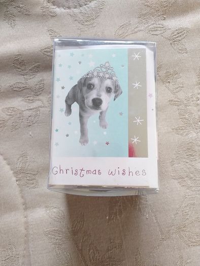 2 Packs of Christmas Cards & Gift Tags
